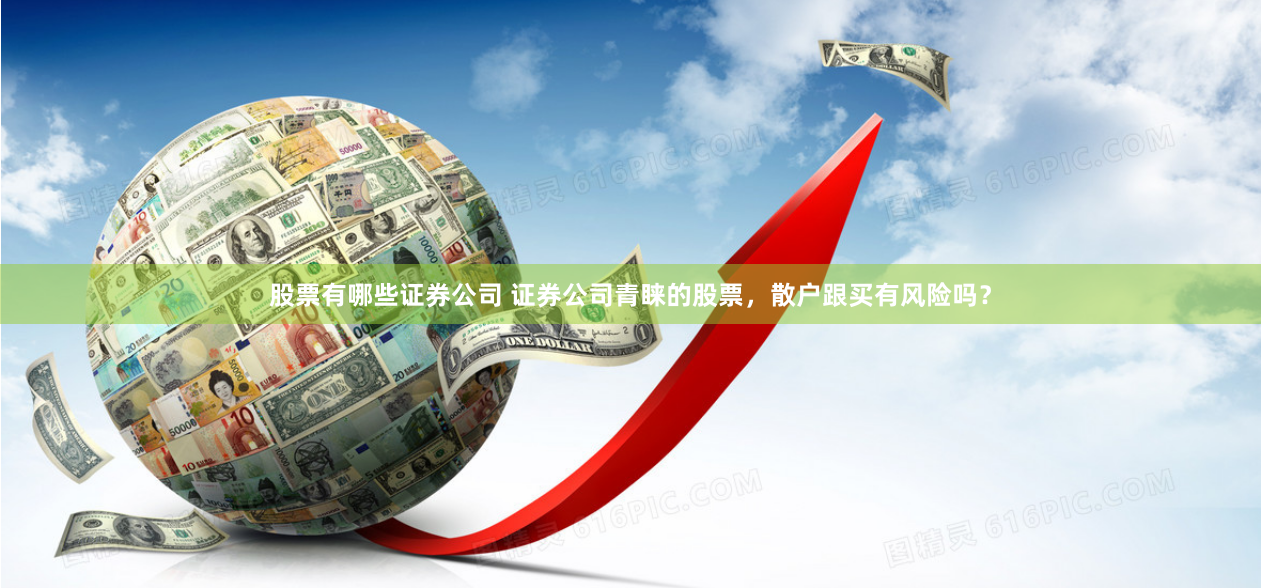 股票有哪些证券公司 证券公司青睐的股票，散户跟买有风险吗？