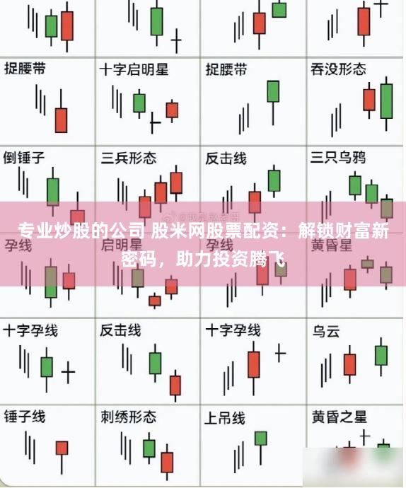 专业炒股的公司 股米网股票配资：解锁财富新密码，助力投资腾飞